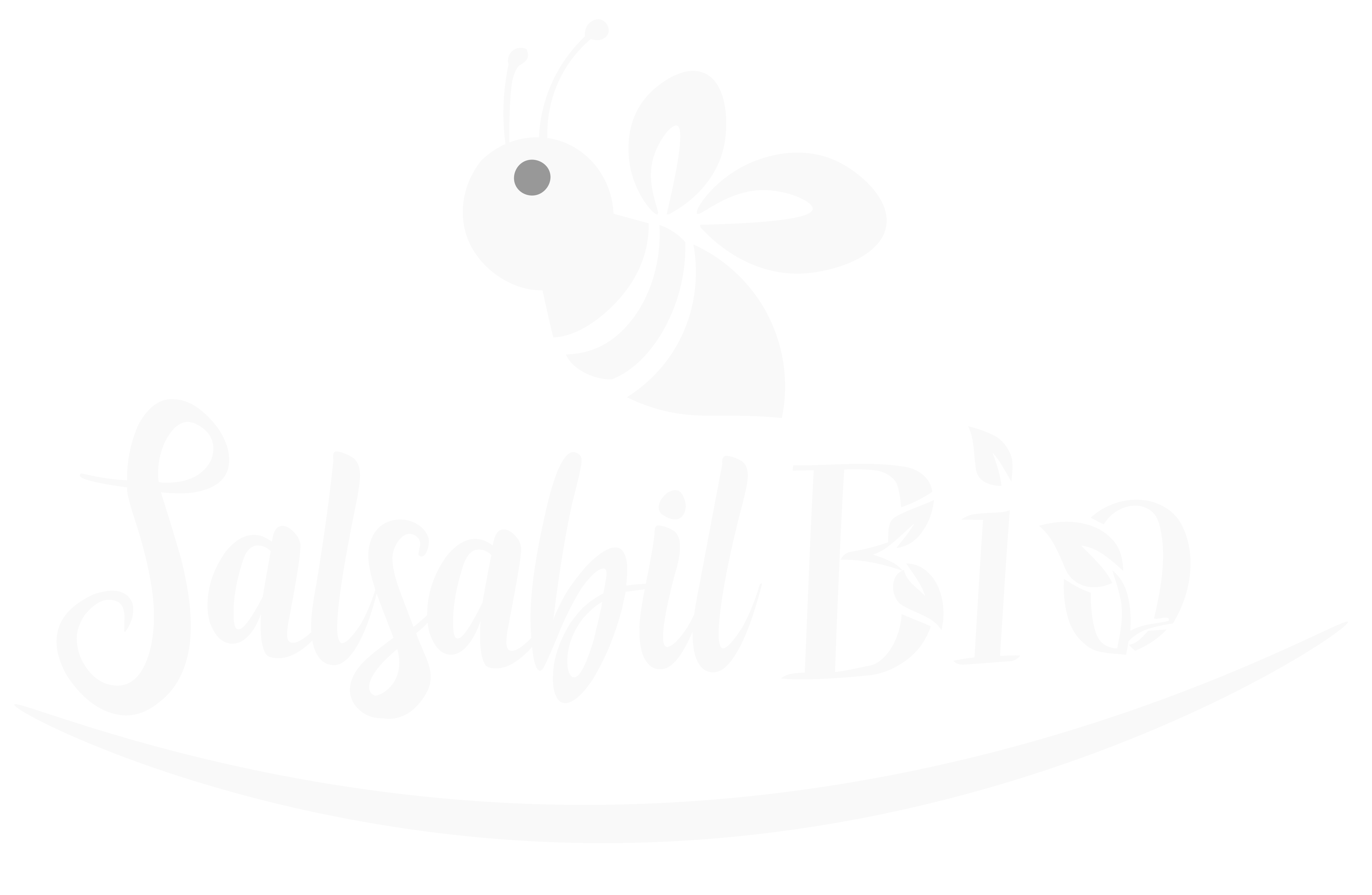 salsabil bio